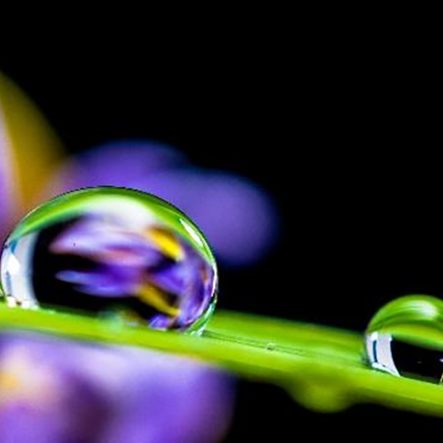 有機硅粉末憎水劑